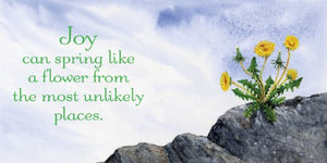 Bee Happy!: Wit & Wisdom for a Happy Life,Used