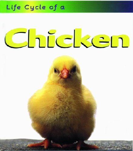 Chicken (Life Cycle of A),Used