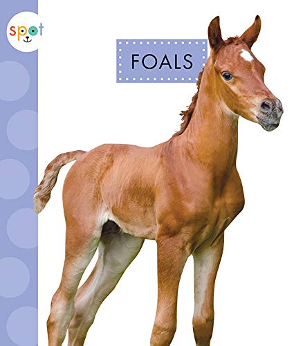 Foals (Spot Baby Farm Animals)