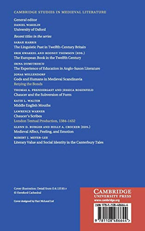 Biblical Commentary and Translation in Later Medieval England: Experiments in Interpretation (Cambridge Studies in Medieval Lite,Used