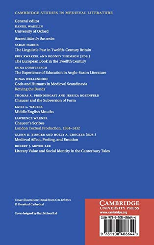 Biblical Commentary and Translation in Later Medieval England: Experiments in Interpretation (Cambridge Studies in Medieval Lite,Used
