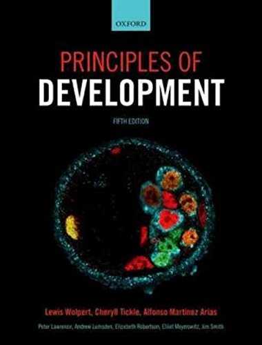 Principles Of Development