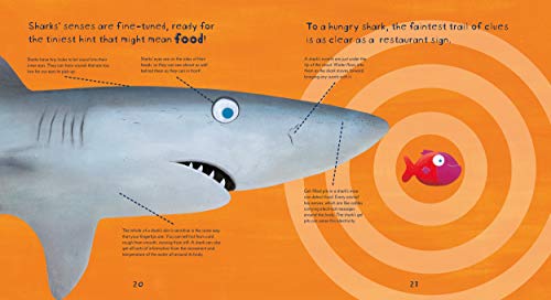 Surprising Sharks,Used