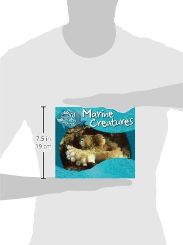 Marine Creatures (Weird, Wild, and Wonderful),Used