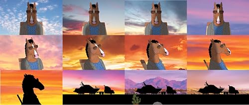 BoJack Horseman: The Art Before the Horse,Used