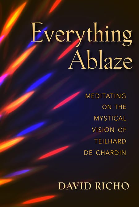 Everything Ablaze: Meditating On The Mystical Vision Of Teilhard De Chardin,Used