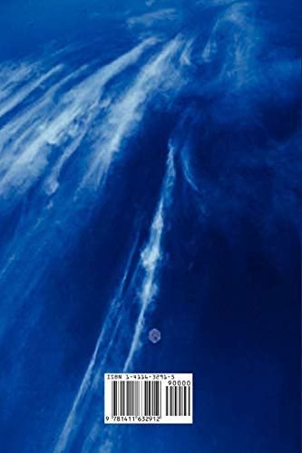 Melancholia: essays on clinical depression,Used