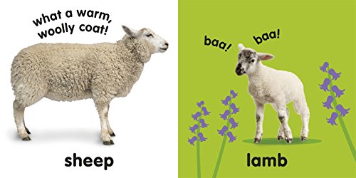 Baby Touch And Feel: Farm Animals,New