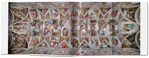 Michelangelo: The Complete Paintings, Sculptures and Architecture, 14751654,Used