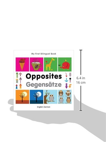 My First Bilingual BookOpposites (EnglishGerman) (German and English Edition),Used