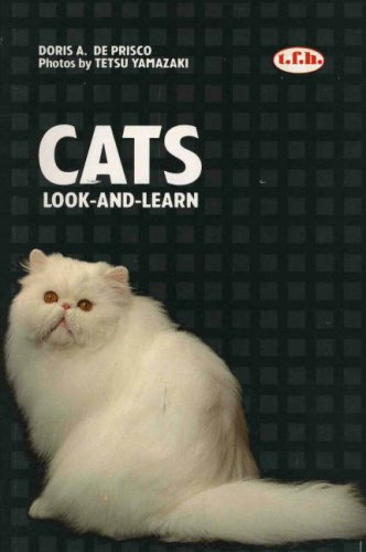 Cats Look and Learn,Used