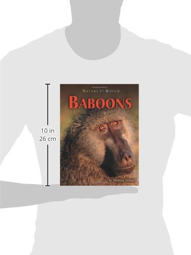 Baboons (Nature Watch),Used