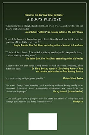 Emory's Gift: A Novel,Used