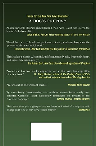 Emory's Gift: A Novel,Used