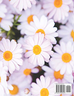 Notes: Daisy Composition Notebook, Collage Ruled, Great For School Notes And Everyday Use,Used