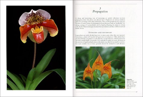 Orchids: Revised Edition,Used