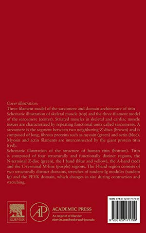 Advances in Clinical Chemistry (Volume 90),Used