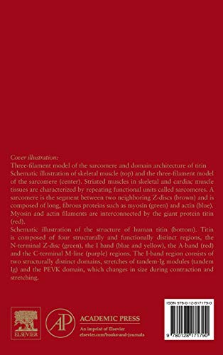 Advances in Clinical Chemistry (Volume 90),Used