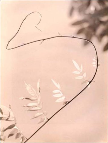 The History Of Japanese Photography,Used