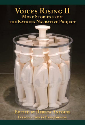 Voices Rising II: More Stories from the Katrina Narrative Project,Used