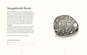 The Pebble Spotter's Guide,New