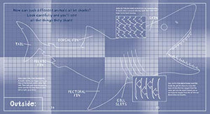 Surprising Sharks,Used