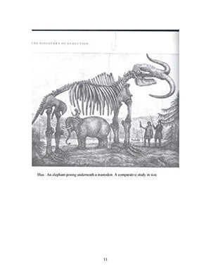History And Obstinacy (Mit Press)
