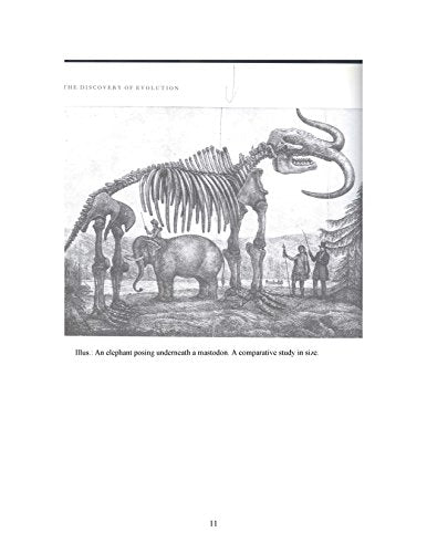 History And Obstinacy (Mit Press)