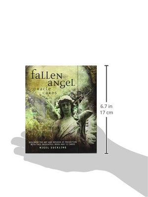 Fallen Angels Oracle Cards,Used