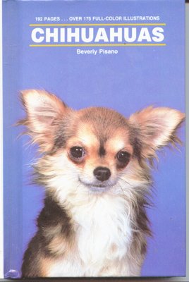 Chihuahuas (Kw087),Used