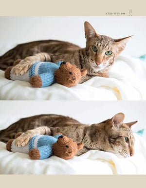 Knits for Kitties: 25 Knitting Patterns for Making Cat Toys,Used