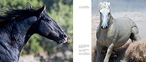 Wild Horses of the West,Used