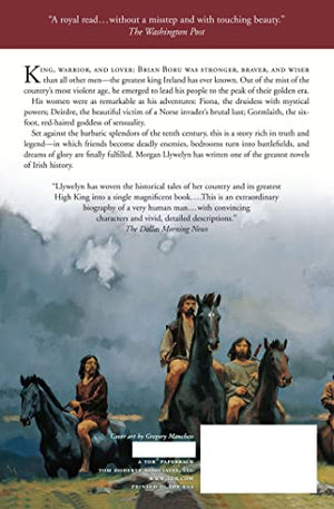 Lion Of Ireland (Celtic World Of Morgan Llywelyn, 5)