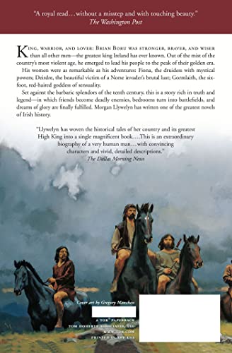 Lion Of Ireland (Celtic World Of Morgan Llywelyn, 5)
