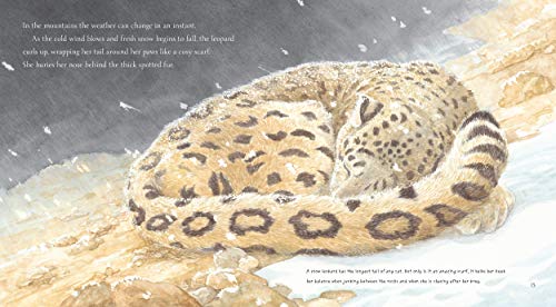 Snow Leopard: Grey Ghost of the Mountain (Nature Storybooks),Used