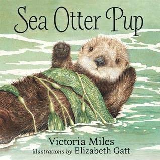 Sea Otter Pup,Used