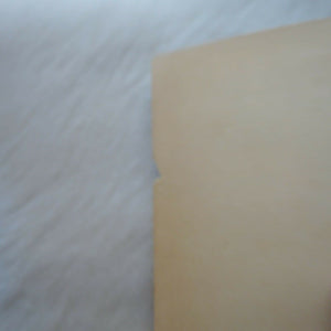 The Complete Guide To The Babysitters Club (Babysitters Club Portrait Collection),New