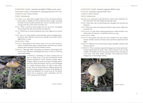 Appalachian Mushrooms: A Field Guide,New