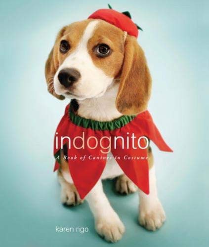 InDognito: A Book of Canines in Costume,Used