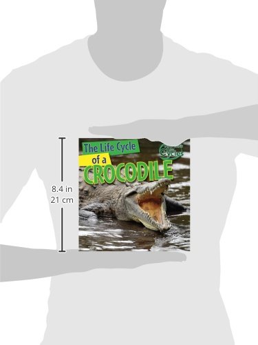 The Life Cycle of a Crocodile (Nature's Life Cycles),Used