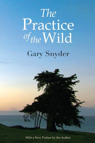 The Practice Of The Wild: Essays