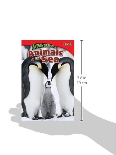 Teacher Created Materials  TIME For Kids Informational Text: Endangered Animals of the Sea  Grade 5  Guided Reading Level U,Used