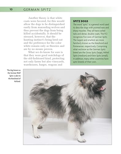 German Spitz (Comprehensive Owner's Guide),Used
