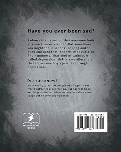 Meh: A Story About Depression,Used
