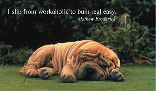 Pooped Puppies: Life's Too Short to Work Like a Dog,Used