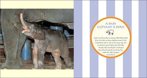 Hansa: The True Story of an Asian Elephant Baby,Used