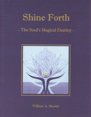 Shine Forth: The Soul'S Magical Destiny,Used