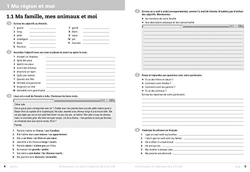 Cambridge IGCSE  French as a Foreign Language Workbook (Cambridge Assessment International Educa),Used