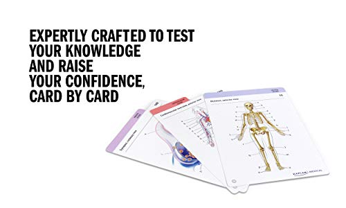 Anatomy Flashcards: 300 Flashcards with Anatomically Precise Drawings and Exhaustive Descriptions + 10 Customizable Bonus Cards