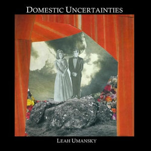 Domestic Uncertainties,Used